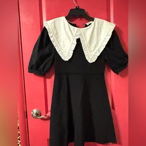 Zara Elegant Black Dress with White Collar